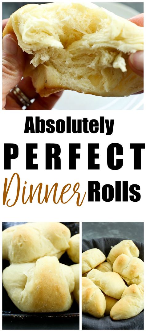 Perfect Bread Machine Dinner Rolls. #Thanksgivingrecipes #christmasrecipes #homemadebread via @Maryea Flaherty Bread Machine Dinner Rolls, Honey Yeast Rolls, Best Dinner Rolls, Yeast Recipes, Dinner Roll, Homemade Dinner Rolls, Dinner Rolls Recipe, Yeast Rolls, Bread Machine Recipes