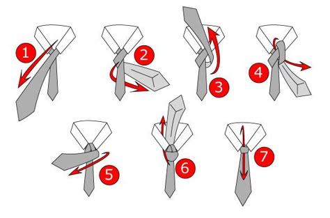 A step by step illustration of how to tie a tie. This illustration uses numbers to show the steps of this process Different Types Of Ties, How To Tie A Necktie, Tie A Tie Easy, Windsor Tie Knot, Windsor Tie, Half Windsor, Tie A Necktie, Types Of Ties, Windsor Knot