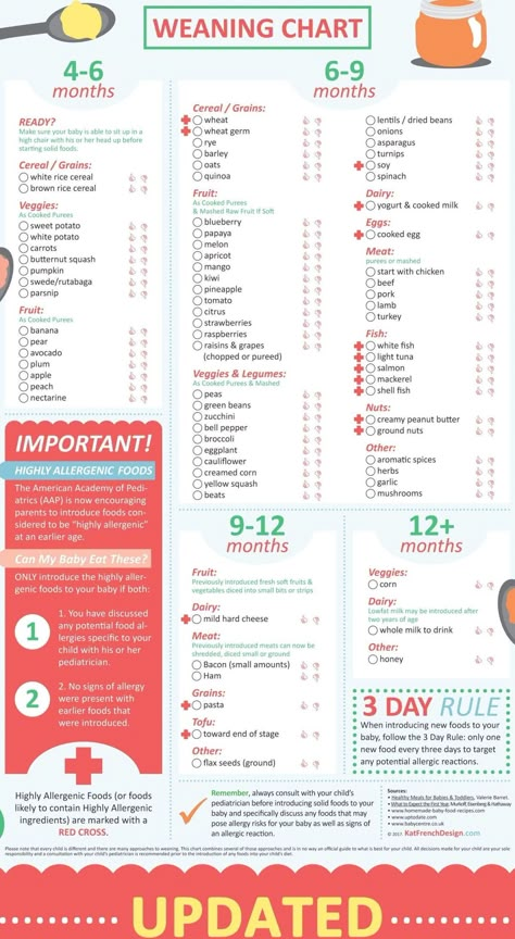 Weaning Chart, Baby Food Timeline, Sweet Potato Banana, Baby Weaning Foods, Baby Food Guide, Introducing Solid, Baby Led Weaning First Foods, Baby Solid Food, Baby Led Feeding