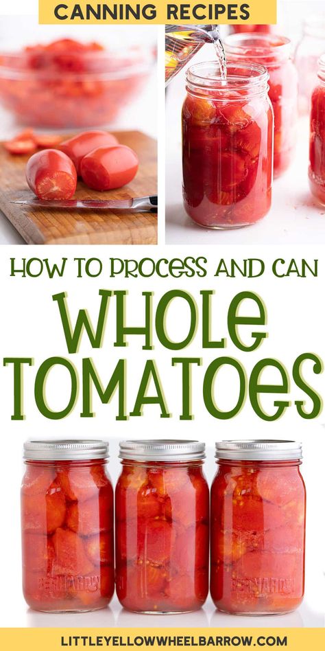 How To Store Tomatoes, Canning Tomatoes Recipes, Canning And Preserving, Canning Salt, Canning Process, Canning Whole Tomatoes, Canning Tips, Easy Cold, Tomatoes Recipe