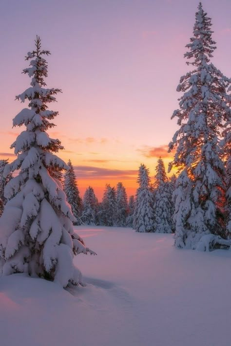 Winter Sunset, Winter Nature, Pretty Landscapes, Winter Scenery, Winter Wallpaper, Winter Vibes, Winter Pictures, Winter Wonder, Alam Yang Indah