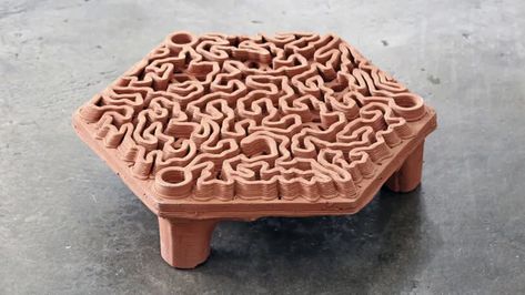 This artificial reef is made from 3D printed terra-cotta. Printer Design, Artificial Reef, Marine Organism, Artificial Coral, Coral Bleaching, Environmental Engineering, Printed Tile, Landscaping Inspiration, Marine Environment