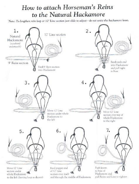 How to attach Mecate Reins Horse Training Ground Work, Charles Marion Russell, Equine Massage, Western Trail, Equine Care, Horse Cart, Western Bridles, Horse Info, Horse Riding Tips