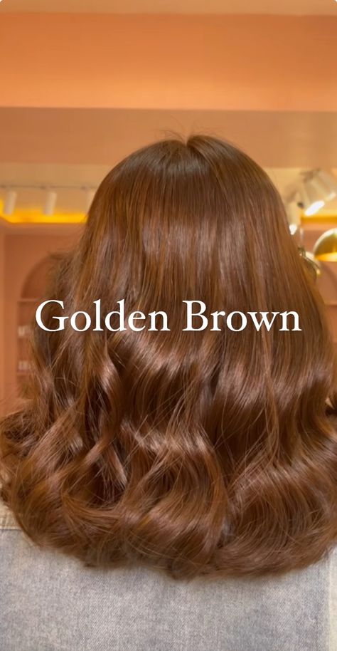 Rich Golden Brown Hair, Autumn Palette Hair Color, Golden Brown Hair Color Honey, Hair Colors For Medium Skin Tone, Honey Hair Color Caramel, Types Of Brown Hair Color Shades, Dark Golden Brown Hair Color, Global Hair Colour For Indian Skin, No Bleach Hair Color For Dark Hair