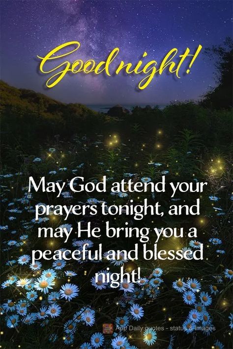 Nighty Night Quotes, Have A Blessed Night, Good Night Blessings Quotes, Quotes Good Night, Christmas Greetings Quotes, Goodnight Quotes Inspirational, Good Night Qoutes, Good Night Prayer Quotes, Blessed Night