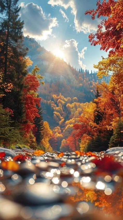 Fall Nature Wallpaper Iphone, Autumn Landscape Aesthetic, Autumn Scenery Landscape, Pretty Landscapes, Autumn Scenes, Autumn Scenery, Beautiful Landscape Wallpaper, Fall Pictures, Beautiful Scenery Nature