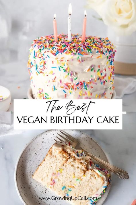 Vegan Sprinkle Cake, Vegan Unicorn Cake, Vegan Chocolate Birthday Cake, Raw Birthday Cake, Funfetti Cake Vegan, Dairy Free Birthday Cake Recipe, Best Vegan Birthday Cake, Vegan Smash Cake 1st Birthdays, Vegan First Birthday Cake