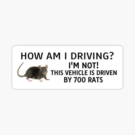 Stickers In Car Interior, Fun Bumper Stickers, Cursed Clothes, Bumper Stickers Aesthetic, Rats Funny, Liberal Bumper Stickers, Funny Car Magnets, Funny Car Bumper Stickers, Cool Car Stickers