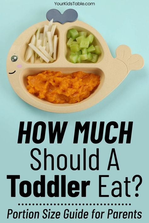 How much does your toddler need to eat? What are the appropriate toddler portion sizes and recommendations? This guide will answer all of that and much more! Dinner Ideas For Baby, One Year Old Foods, 1 Year Baby Food, Portion Size Guide, Safe Meals, Toddler Friendly Meals, Child Guidance, Easy Toddler Meals, Leafy Salad