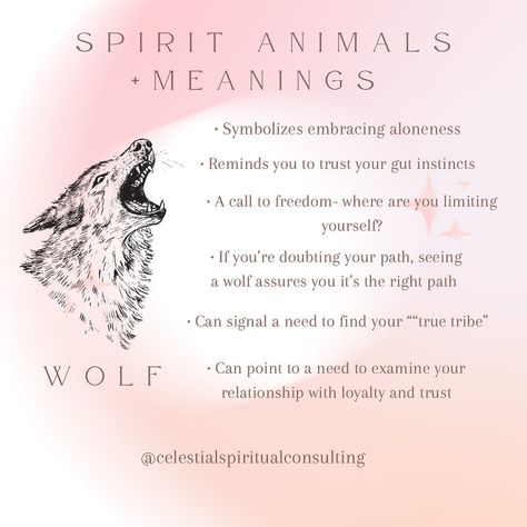 The wolf is an amazing spirit animal because of its ability to be alone or within a pack. Fun fact: lone wolves actually save wolf packs from becoming too inbred by moving from pack to pack, diversifying the gene pool. Without those wolves who aren’t afraid to go it alone and move from pack to pack, the entire wolf population would be messed up. Sometimes what you feel is a struggle may actually be a gift. #lonewolf #spiritanimal #wolfpack Wolf Spiritual Meaning, Spirit Wolf Art, Wolf Meaning, Wolf Packs, Spirit Animal Meaning, Animal Meanings, Sea Wolf, Wolf Spirit Animal, Spirit Animals