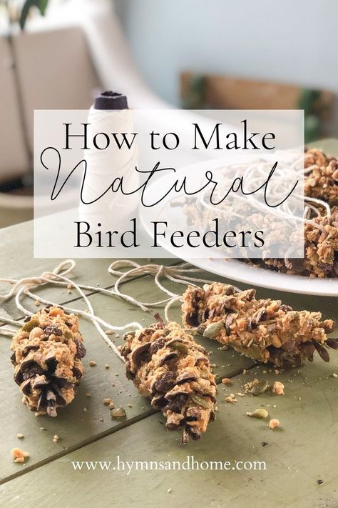 Bird Feeder Ornaments, Bird Seed Crafts, Feeding Birds In Winter, Bird Feeders For Kids To Make, Winter Bird Feeders, Pine Cone Bird Feeder, Bird Feeder Craft, Bird Seed Ornaments, Bird Seed Feeders