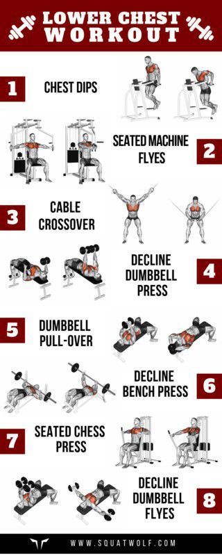 Gym Chest Workout, Chest Day Workout, Chest And Tricep Workout, Chest Workout Women, Chest Workout For Men, Chest Workout Routine, Fitness Studio Training, Chest Day, Latihan Dada