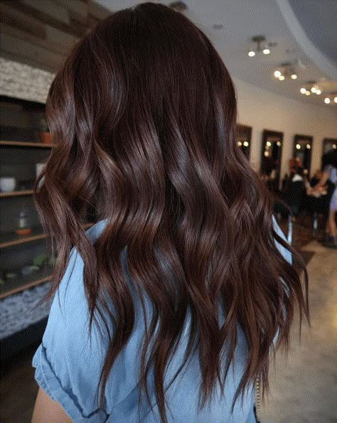 Rich Auburn Hair Color Dark Brown, Rich Brown Red Hair Color, Brown Hair Fall 2023, Brunette With Hint Of Red, Brunette Hair Fall 2023, Chocolate Brown Auburn Hair, Auburn Dark Hair, Dark Auburn Balayage Brunettes, Dark Auburn Brown Hair Color