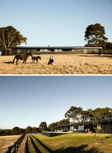 This modern farmhouse features three elongated pavilions that form a U shape, while the exterior has been clad in blackened timber, giving the home a monochromatic appearance. #ModernHouse #ModernArchitecture #HouseDesign Acreage Facades, Long House Exterior, Modern Farmhouse Exterior Ranch, Modern Farmhouse Style Living Room, Rural Australia, Country Pool, Modern Farm House, Sustainable House, Long House