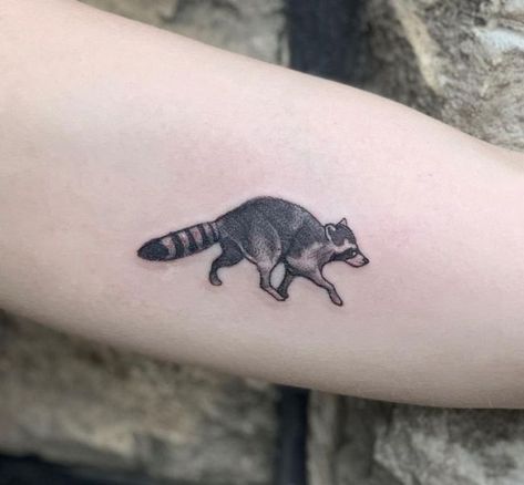 Fox And Raccoon Tattoo, Simple Raccoon Tattoo, Small Raccoon Tattoo, Raccoon Tattoo Ideas, Raccoon Tattoos, Racoon Tattoo, Cactus Tattoos, Raccoon Tattoo, Tattoos Matching