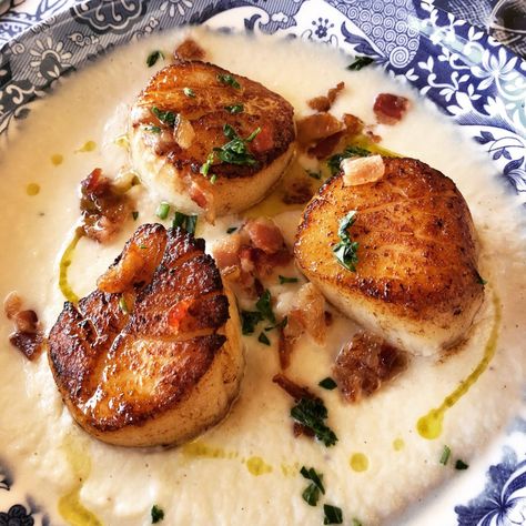 Scallops And Cauliflower, Cauliflower Purée, Seared Sea Scallops, Cauliflower Puree, Seared Scallops, Sea Scallops, Scallop Recipes, Scallops Seared, Pureed Food Recipes