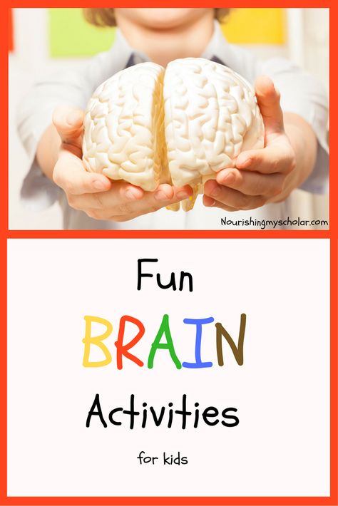 Fun Brain Activities for Kids Brain Activities For Kids, Right Brain Activities, Mind Activities, Human Body Projects, Brain Models, Brain Craft, Human Body Activities, Human Body Unit, Nutrition Activities