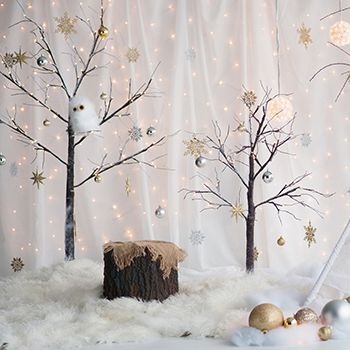 Beautiful Christmas Decorations Diy Christmas Photoshoot, Diy Christmas Backdrop, Diy Christmas Photo, Photography Backdrops Diy, Photo Backdrop Christmas, Decoration Vitrine, Diy Photo Backdrop, Photoshoot Backdrops, White Trees