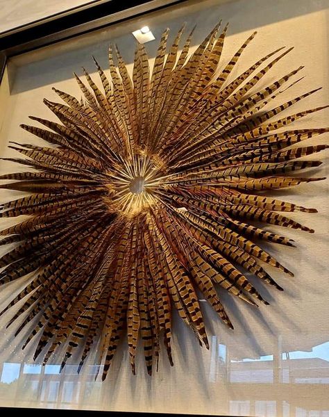 Pheasant Feather Wreath Diy, Display Turkey Feathers, Diy Feather Wall Art, Pheasant Feather Display, Pheasant Tail Display, Diy Turkey Feathers, Pheasant Taxidermy Mount, Pheasant Feather Decor Wedding, Pheasant Mounts Ideas