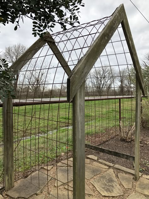 Cattle Panel Trellis, Panel Trellis, Garden River, Cattle Panels, Outdoor Trellis, Trellis Ideas, Vegetable Garden Ideas, Fall Garden Vegetables, Potager Garden