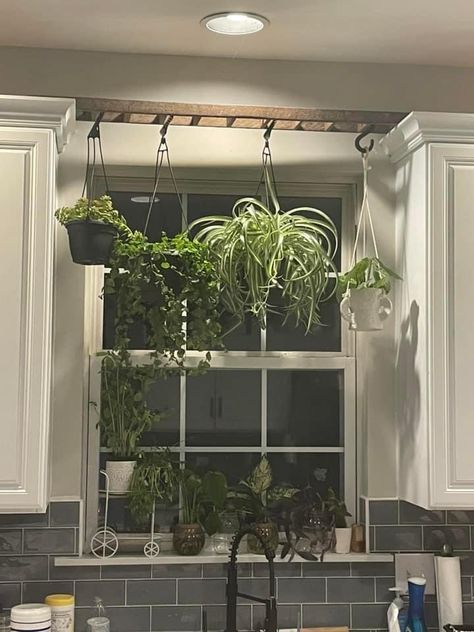 Herb Wall In Kitchen, Plant Ladder Hanging, Plant Shelf Under Window, Plants Above Doorway, Under Window Plant Stand, Plant Shelves Above Window, Plants On Curtain Rod, Kitchen Window Herb Garden Hanging Pots, Hanging Plant Shelf In Front Of Window