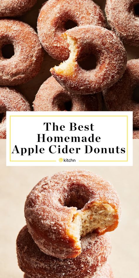 How to Make the Best Apple Cider Doughnuts at Home | Kitchn Apple Cider Doughnut Recipe, Donuts Fried, Cider Donuts Recipe, Apple Cider Donuts Recipe, Fried Apple, Best Apple Cider, Homemade Apple Cider, Donuts Recipe, Fall Breakfast