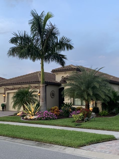 Palm Trees Landscaping Front Yard, Backyard With Palm Trees, Sylvester Palm Landscaping, Small Front Yard Landscaping Florida, Florida Home Landscaping Front Yards, Tropical Landscaping Front Yard Florida, Palm Tree Front Yard Landscaping, Florida Landscape Front Yard, Front Yard With Palm Trees