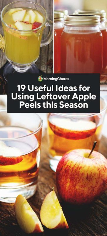 19 Useful Ideas for Using Leftover Apple Peels this Season Apple Peel Recipe, Applesauce Apple Butter, Make Applesauce, Morning Chores, Leftover Apples, Something From Nothing, Apple Ideas, Vegetable Benefits, Apple Peeler