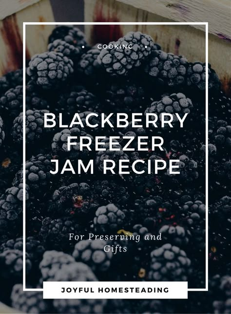 Black Raspberry Freezer Jam Recipe, Blackberry Freezer Jam Recipe, Blackberry Freezer Jam, Seedless Blackberry Jam, Raspberry Freezer Jam, Blackberry Jam Recipes, How To Freeze Blackberries, Freezer Jam Recipes, Sugar Free Jam