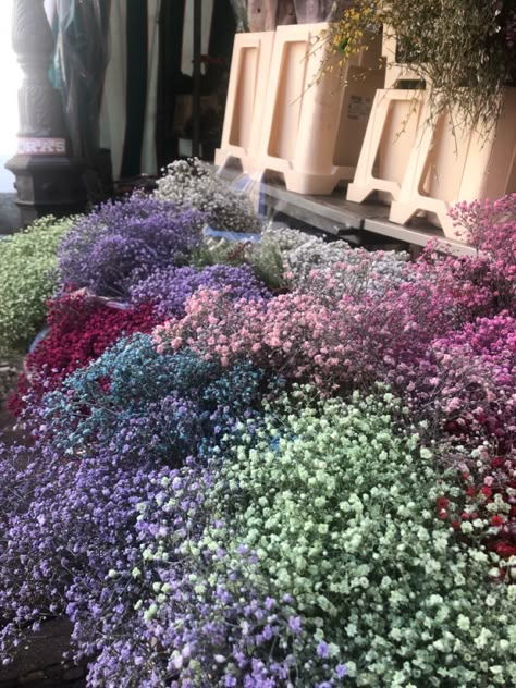 #gypsophila #flowers #floral #aesthetic #cute #flowertherapy #purple Gipsofila Aesthetic, Gypsophila Garden, Gypsophila Aesthetic, Purple Gypsophila, Babies Breath Flowers, Flower Gypsophila, Gypsophila Flower, Gypsophila Bouquet, Pretty Flowers Pictures