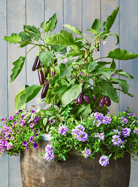 Container Vegetable Garden Ideas, Upside Down Plants, Patio Vegetable Garden, Container Vegetable Garden, Gardening Wallpaper, Patio Container Gardening, Vegetable Planters, Container Vegetables, Vegetable Garden Ideas