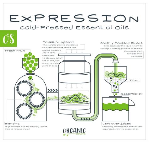 Essential Oils Process Botanical Store, Essential Oil Still, Herbal Diy, Oil Distiller, Essential Oil Distiller, Herbal Therapy, Essential Oil Extraction, Making Essential Oils, Chemistry Experiments