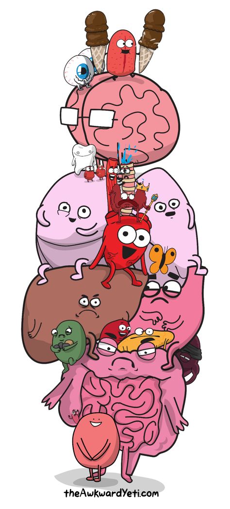 The awkward yeti dump - Imgur Hart And Brain, Cute Biology Wallpaper, Organ Drawings, Wallpaper Biology, Science Humor Chemistry, Heart And Brain Comic, Heart Vs Brain, Awkward Yeti, The Awkward Yeti