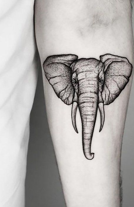 Elephants are a symbol of prosperity, good luck, and wisdom.  Because of the animals’ long lives and memories, many people with ‘old souls’ are drawn to elephant tattoos. As a unique and popular animal, elephants suit a more stripped-back tattoo style. And as they are grey, there is no need to add color to the inking. Life Tattoo Quotes, Elephant Head Tattoo, Inner Elbow Tattoos, Elephant Tattoo Ideas, Elephant Tattoo Design, Simple Tattoo Designs, Family Tattoo, Arm Band Tattoo, Elephant Tattoo