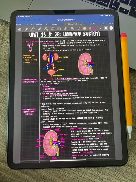 Med School Ipad Notes, Ipad Pro Setup Aesthetic, Med Notes Ipad, Ipad Air Goodnotes, Ipad Pencil Ideas, Ipad 11 Pro Aesthetic, Notes In Ipad, How To Take Notes On Ipad, Ipad And Apple Pencil Aesthetic