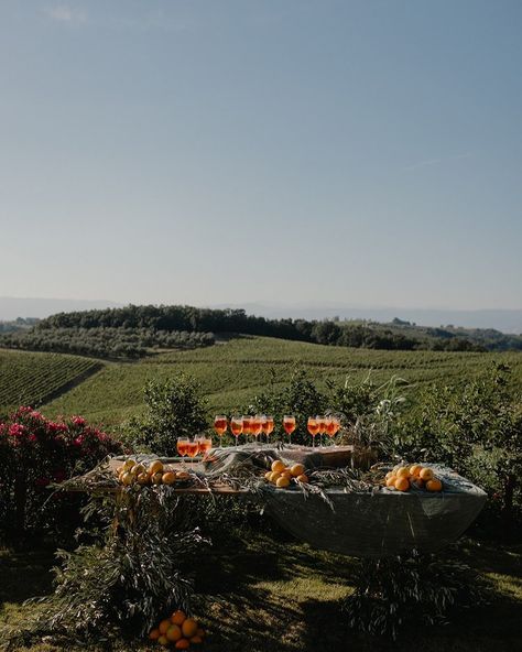 ✨ ALL NIGHT LONG. The rehearsal dinner marks the start of a 3-day love-filled celebration in Tuscany. The wedding and recovery to come... — Bride ~ @lszurgot Photographer ~ @diasdevinoyrosas Planning and Design ~ @lalindi_bryllup Stationery ~ @onemimosaplease_ Florist ~ @marypoppies Content ~ @silvi_lubilubi Tablecloth ~ @agathe_berjaut Party Dress ~ @viviennewestwood Winery Dinner, Olivia Palermo, Rehearsal Dinners, Rehearsal Dinner, Palermo, The Start, Tuscany, Florist, Party Dress