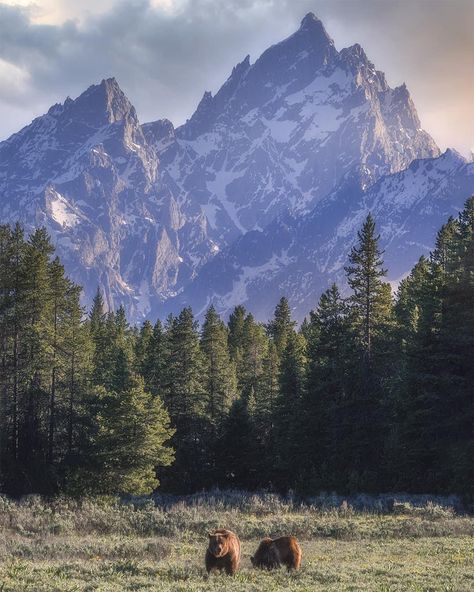 Grand Teton National Park.  Rob Phillips Photography. Us National Parks Photography, Random Aesthetic Pics, Glacier National Park Aesthetic, Summer Mountain Aesthetic, Yellowstone National Park Aesthetic, Rocky Mountain National Park Photography, Montana Mountains Aesthetic, Prettiest National Parks America, Forest Mountain Landscape