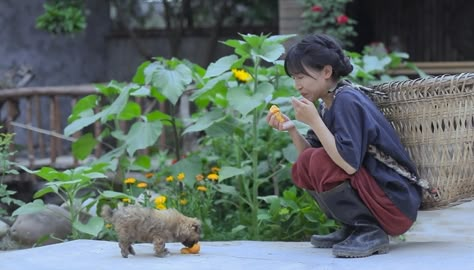 Li Ziqi, Rural China, Tropical Kitchen, Chinese Fans, Rural Village, Cooking Tutorials, Big Bowl, Social Media Stars, Village Life