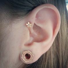 Mooie piercing Ear Stretching, Ear Piercings Helix, Smiley Piercing, Plugs And Tunnels, Helix Ear, Cool Piercings, Cute Piercings, Piercings And Tattoos, Piercings Jewelry