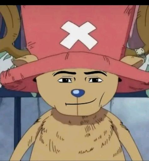 haha yes Cursed One Piece, One Piece Funny Moments, One Piece Bounties, One Piece Chopper, One Piece Meme, Tony Tony Chopper, Tony Chopper, The One Piece Is Real, Man Face