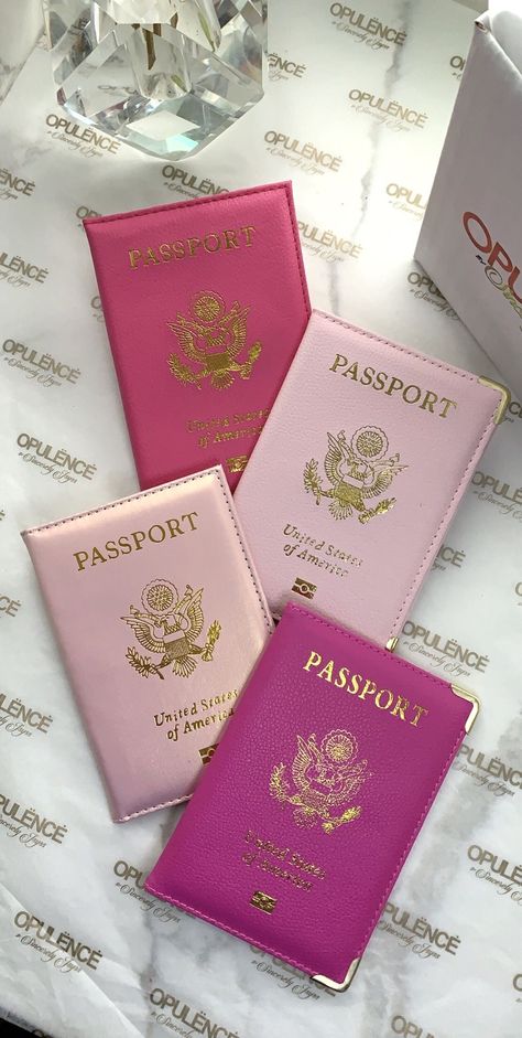 American Passport, Tout Rose, Pink Lifestyle, Luxury Lifestyle Dreams, Pink Vibes, Pink Girly Things, Future Lifestyle, Girly Accessories, Money And Happiness