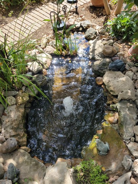 Pond at the end of a dry creek bed Dry Creek Bed, Creek Bed, Dry Creek, Diy Home Repair, Backyard Landscaping Designs, Home Repair, Ponds, Backyard Landscaping, Landscape Design