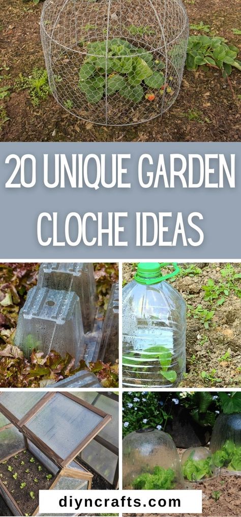 Protect your growing plants from weather and pests with these 20 clever cloche ideas! Find easy DIY hacks and where to buy them ready-made. Deck Landscaping Ideas, Vegetables To Grow In Pots, Frost Protection For Plants, Garden Cloches, Home Chicken, Cloche Ideas, Garden Cloche, Deck Landscaping, Sustainable Homestead