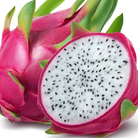 Dragon Fruit Photography, Dragon Fruit Pictures, Dragon Fruit Drawing, Alien Fruit, Inside Fridge, Dragon Fruit Cactus, Jelly Fruit, Thanh Long, Fruits Drawing