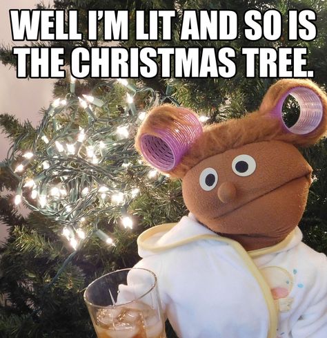 Christmas Eve Meme, Funny Merry Christmas Images, Merry Christmas Memes, Funny Merry Christmas Memes, Funny Christmas Memes, Merry Christmas Meme, Xmas Jokes, Parent Humor, Christmas Memes Funny