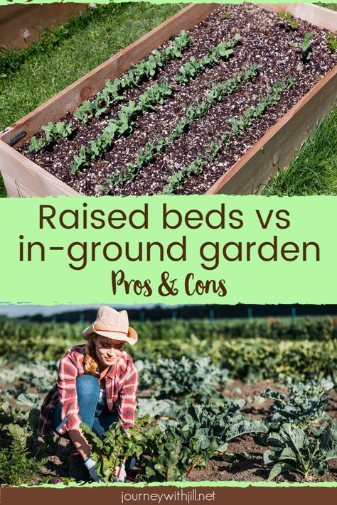 If you're trying to decide between raised garden beds or growing a garden in the ground, here are benefits and drawbacks of each. If you decide to go with raised beds, here are some tips to DIY your own beds from steel as well as growing tips to ensure your success! #raisedbeds #gardening #gardens Garden In The Ground, Raised Garden Beds Irrigation, Garden In Raised Beds, Garden Tools Organization, In Ground Garden, Raised Bed Ideas, Ground Garden, Garden Planning Layout, Growing A Garden