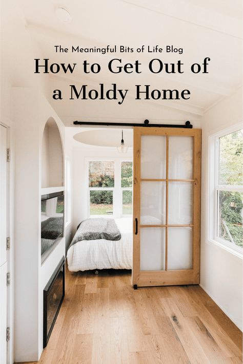 Mold Smell, Increase Home Value, Mold Toxicity, House Mold, Mold Exposure, Mold Remediation, Mold Growth, Getting Out, Soft Furnishings