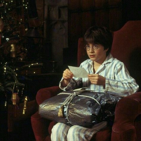 Film Sequence, Christmas At Hogwarts, Harry Potter Vibes, Hogwarts Christmas, Hogwarts Is My Home, Hogwarts Aesthetic, Harry Potter Christmas, Harry James, Harry James Potter