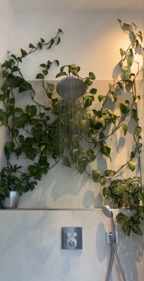 Plant Apartment, Bad Room Design, Earthy Aesthetic, Apartment Goals, Aesthetic Bathroom, Dream Apartment Decor, Future Apartment Decor, Plant Decor Indoor, Apartment Aesthetic