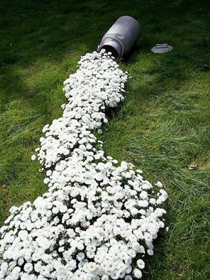 "spilled milk" affect ...use a low growing, white flowering plant that grows best in your location.... Garden Design Pictures, Taman Air, Secret Gardens, Hardy Perennials, Whimsical Garden, White Gardens, Fragrant Flowers, The Secret Garden, Flowers Perennials